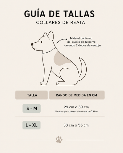 Collar para Perro Ajustable de Reata Premium azul + Collar de identificación