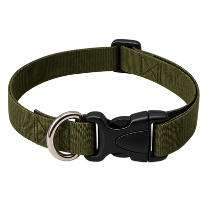 Collar para Perro Ajustable de Reata Premium  + Collar de identificación