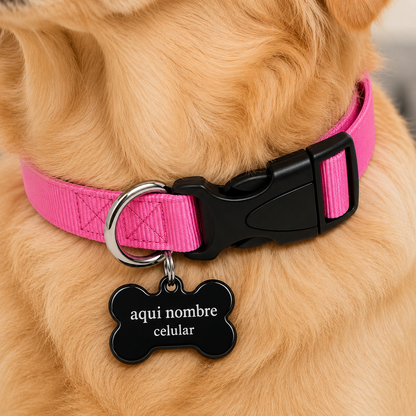 Collar para Perro Ajustable de Reata Premium  + Collar de identificación