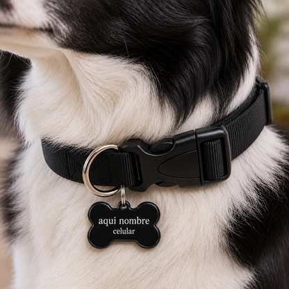 Collar para Perro Ajustable de Reata Premium  + Collar de identificación