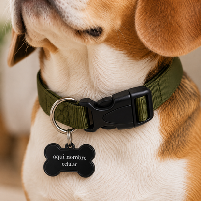 Collar para Perro Ajustable de Reata Premium  + Collar de identificación